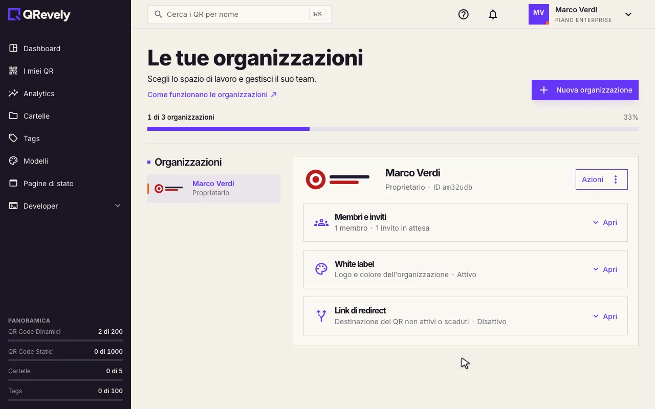 La pagina Organizzazioni: l’elenco a sinistra, la scheda a destra e il contatore in alto
